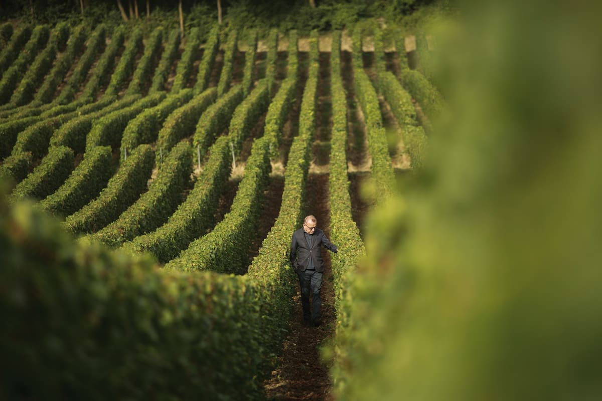 Un recorrido por los viñedos y la abadía que hace cuatro siglos vio nacer la historia de Dom Pérignon, que prepara la sucesión de su jefe de cava