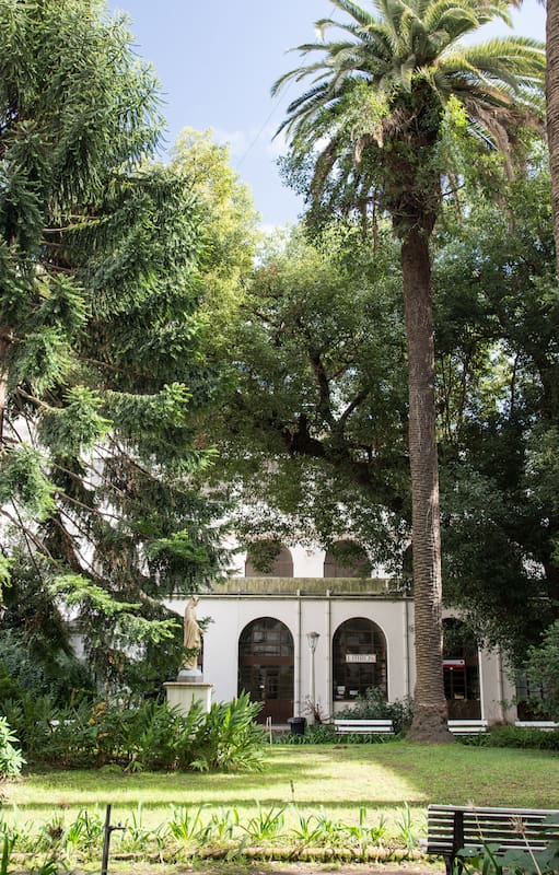 Un recorte de cielo entre las copas de los árboles en plena ciudad
