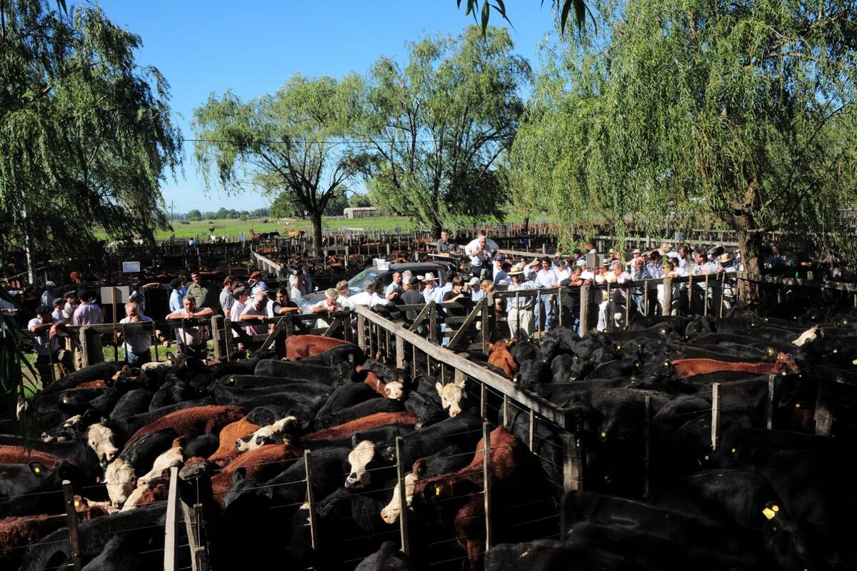Un remate feria