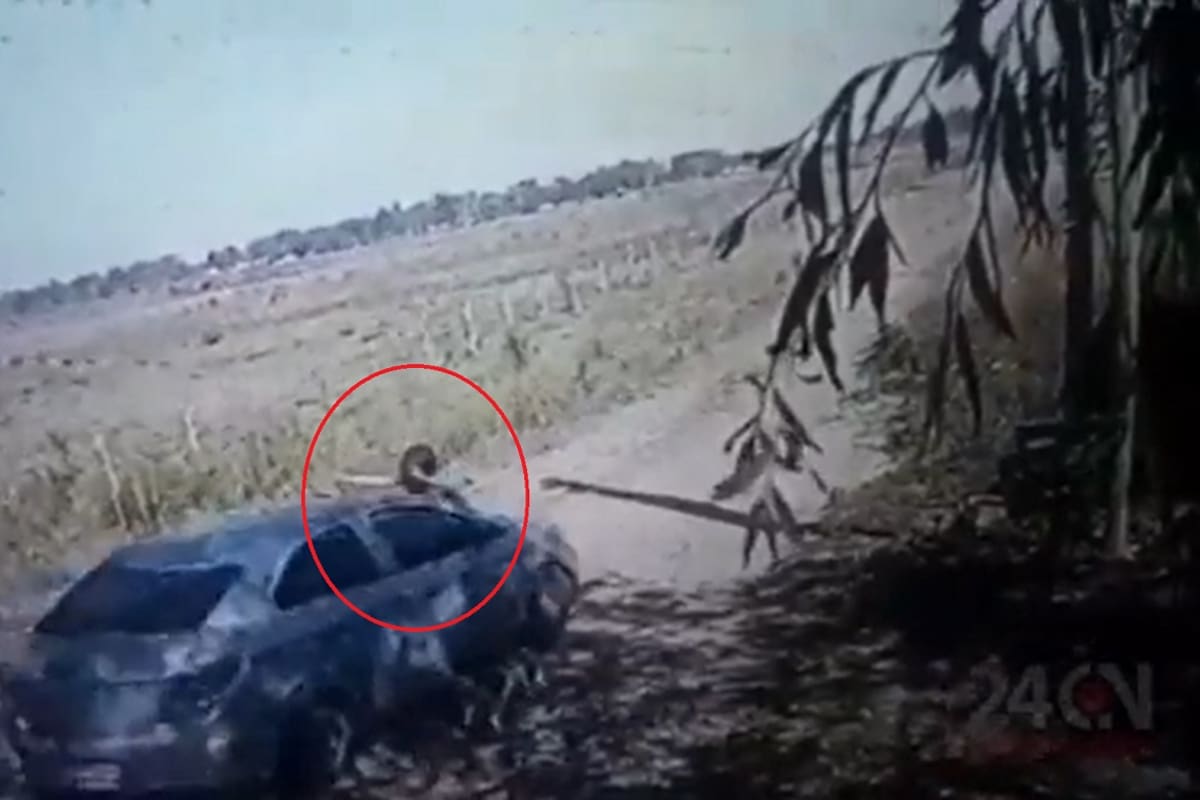 Un remisero arrastró 100 metros a una mujer sobre el capot del auto