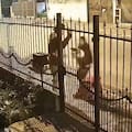 El robo de motos, un delito sin freno que impacta fuerte en jóvenes repartidores
