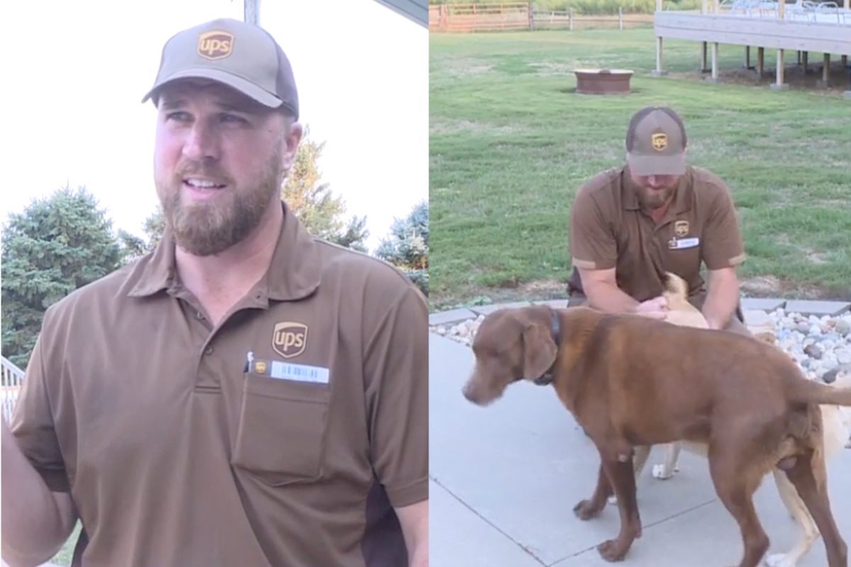 Un repartidor de UPS salvó la vida de dos perros que se ahogaban en una piscina