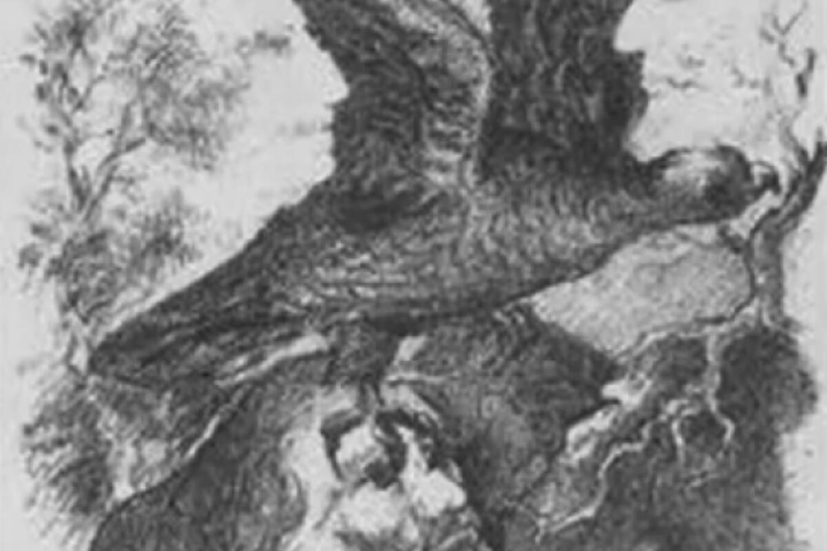 Un reto visual difícil que uno debe solucionar en solo seis segundos