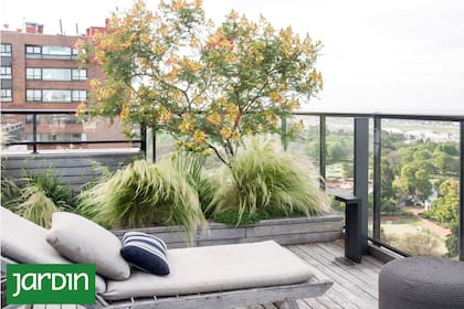 Un rincón pequeño puede expresar una idea clara de paisaje