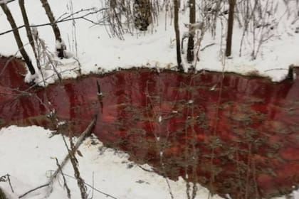 Un río de sangre bañó el noroeste de Rusia