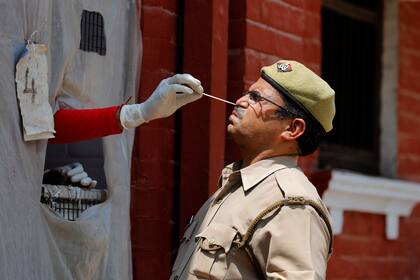 Un sanitario toma una muestra nasal a un policía para una prueba de detección del COVID-19 en Prayagraj, India, el 8 de mayo de 2021. (AP Foto/Rajesh Kumar Singh)