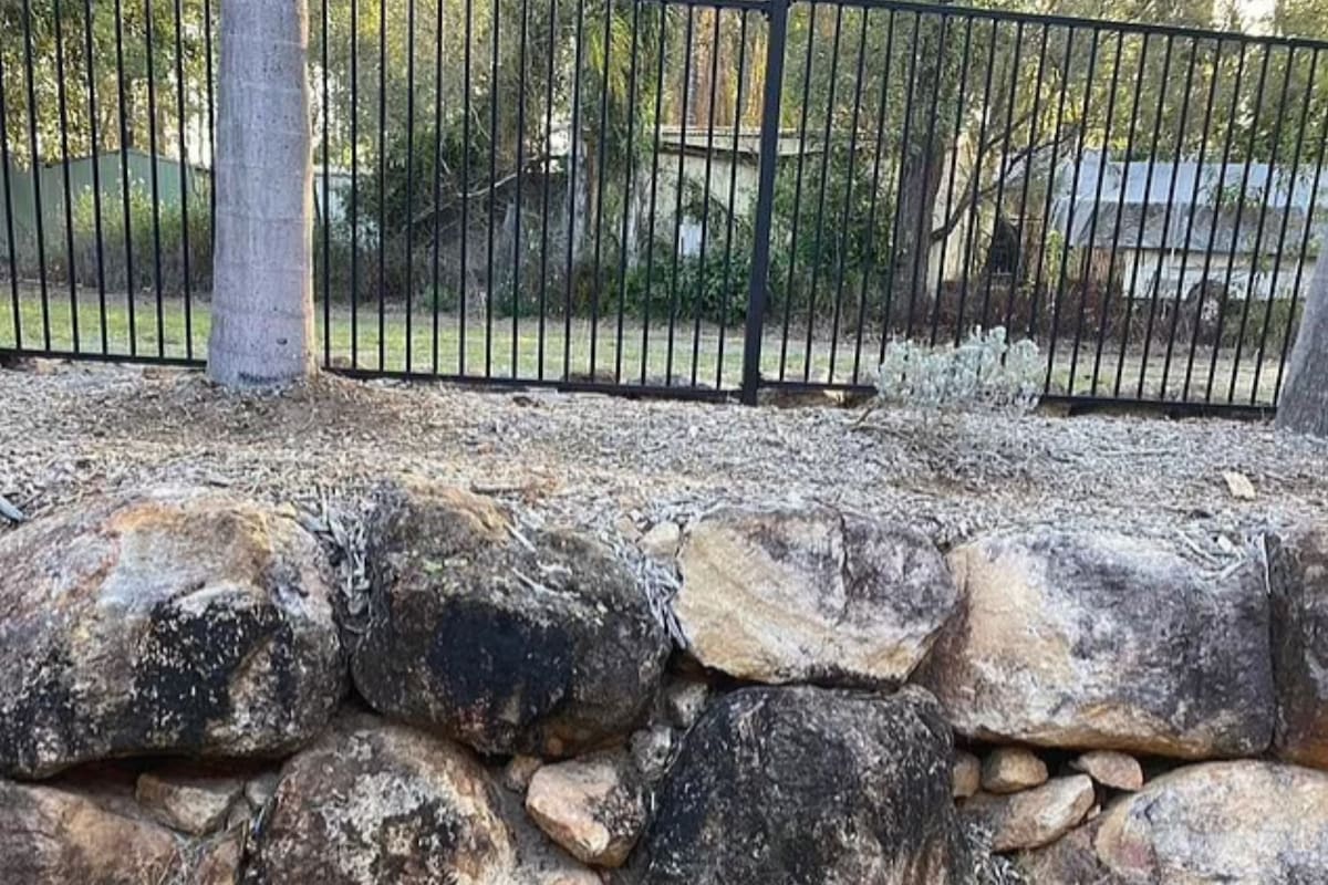 Un silencioso animal acechó la casa de una familia y eligió un insólito lugar para pasar desapercibido