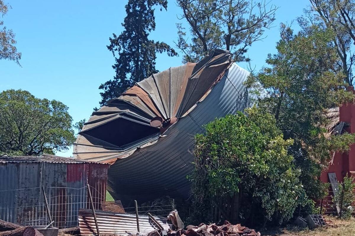Un silo por el piso en un campo de Indio Rico, Coronel Pringles