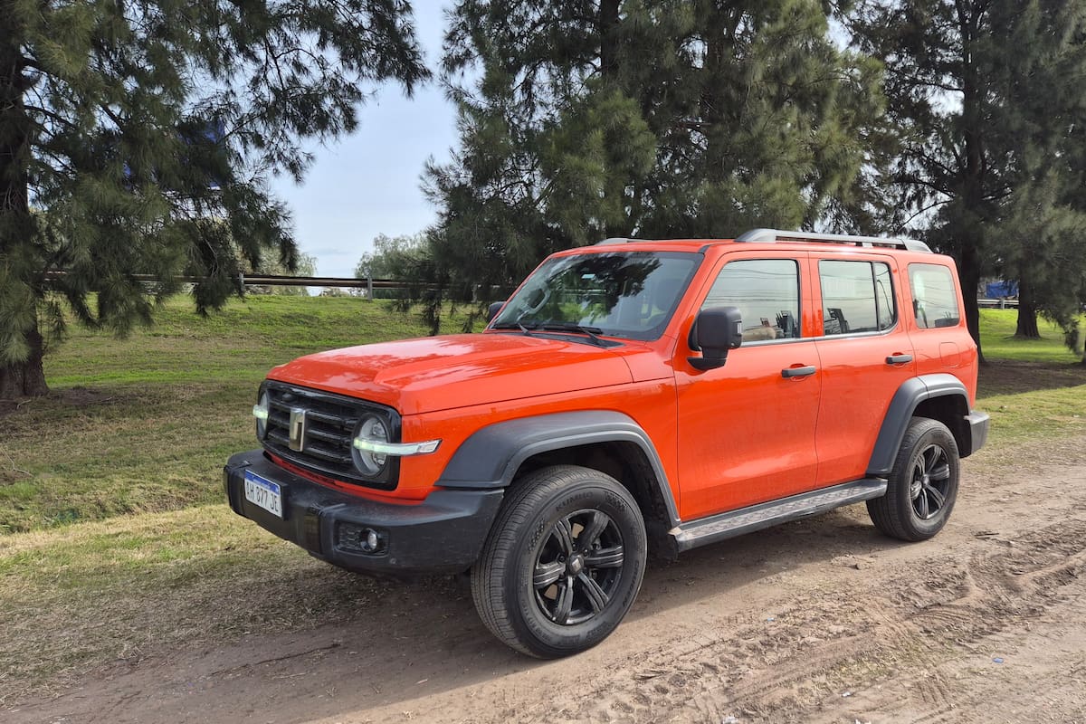 Un silueta boxy para el tank 300