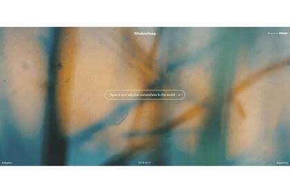 Un sitio, todas las vistas