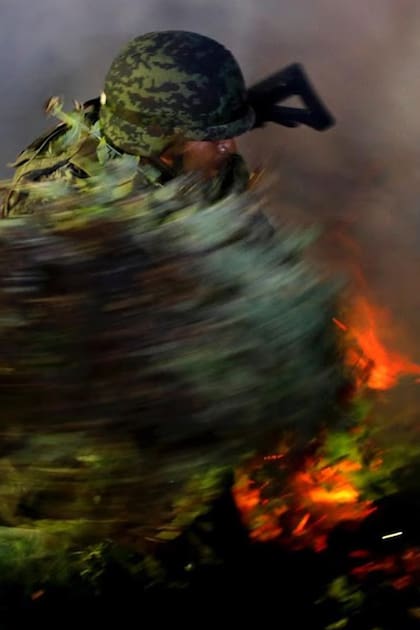 Un soldado mexicano quemando una plantación ilegal de amapola en la Sierra Madre del Sur, estado Guerrero, en México