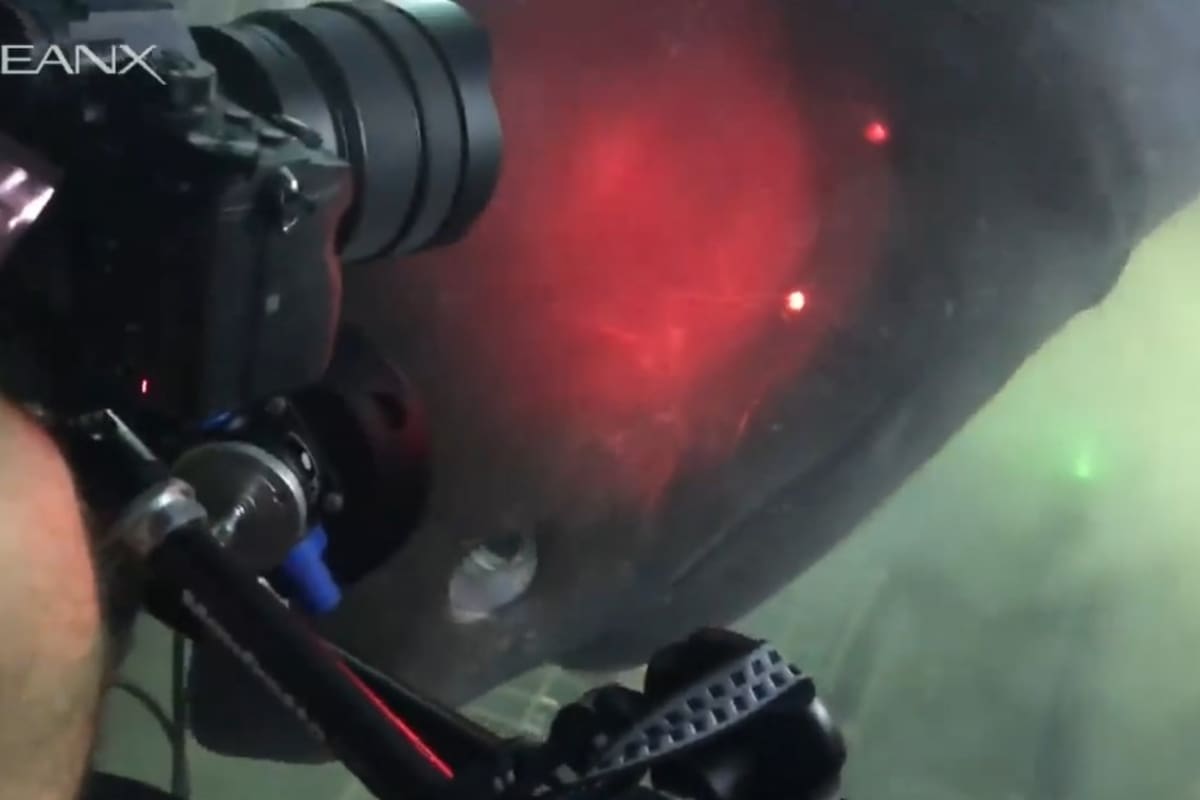 Un submarino se adentró en el océano y encontró un tiburón en peligro de extinción