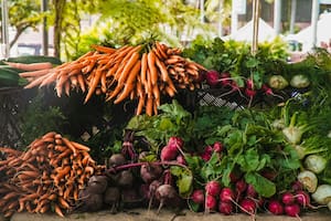 Un superalimento que cautiva a comensales de todo el mundo con su intenso color