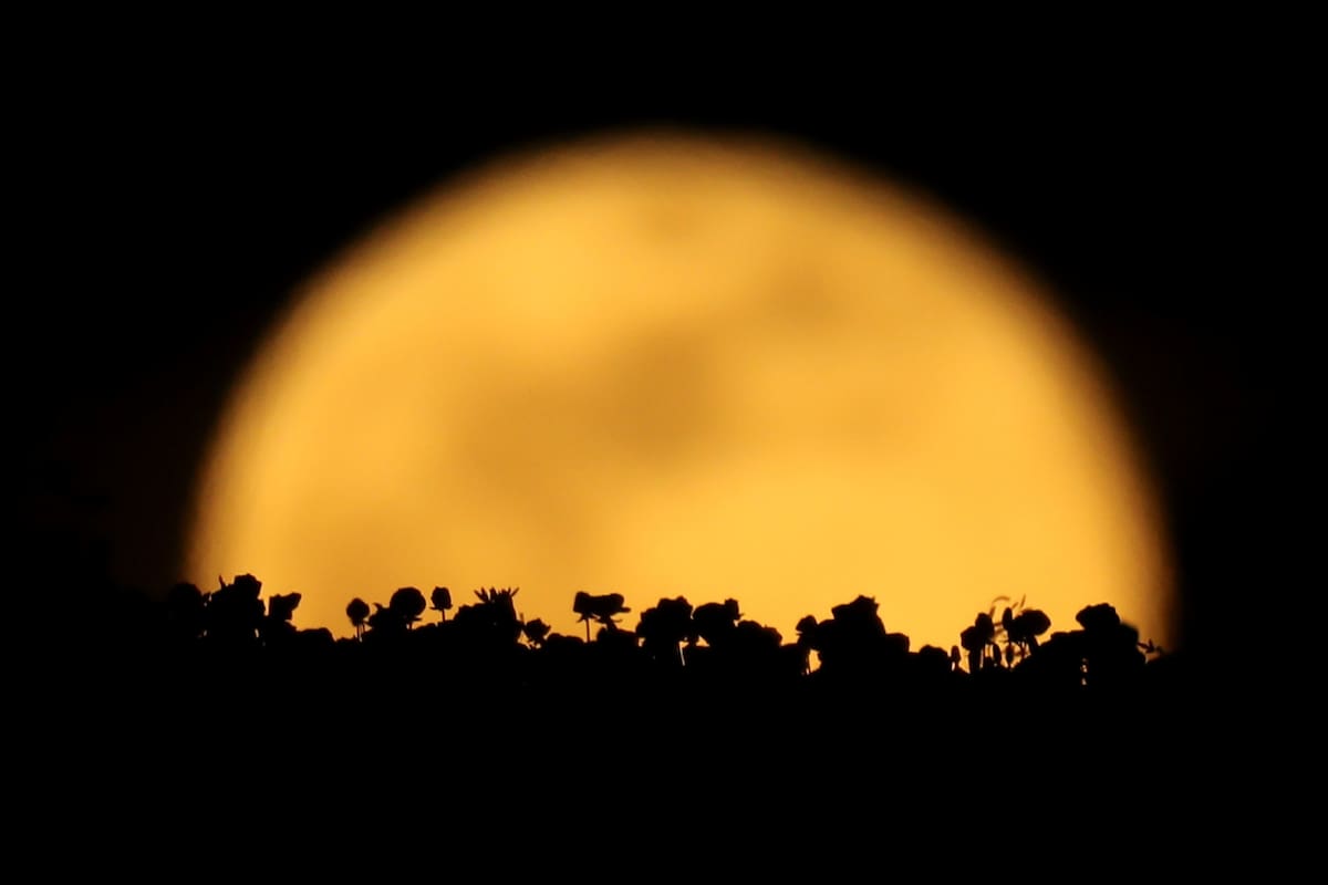 Un superluna brilló en todo el mundo