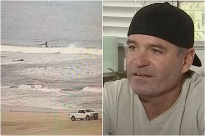 Un surfista que estaba en una playa de Florida fue golpeado por un tiburón