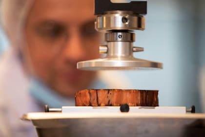Un técnico examina el proceso de creación de un bife de carne artificial producida con una impresora 3D