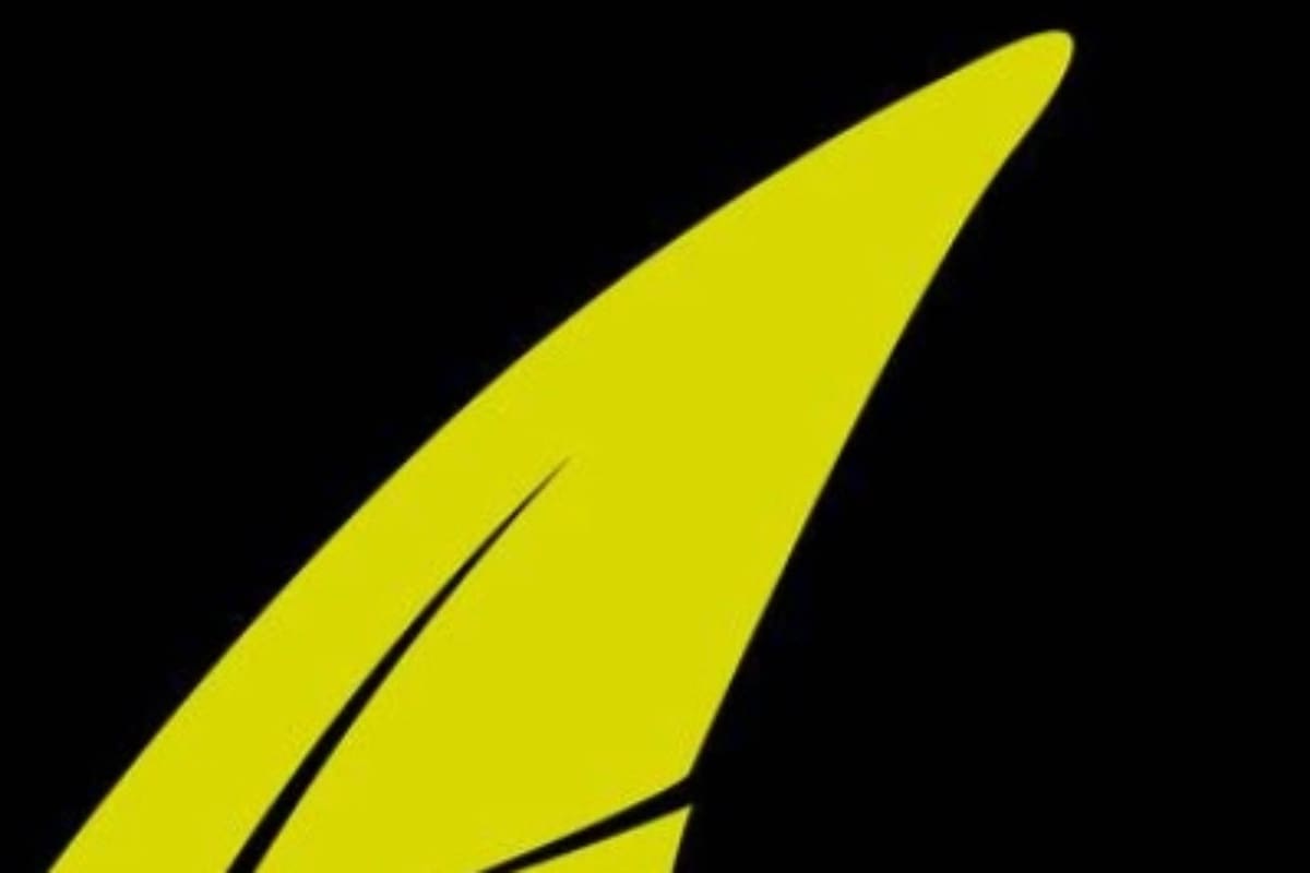 Un test que se viralizó en las redes propone responder qué figura se ve a primera vista: la respuesta revelaría aspectos de las personalidad.