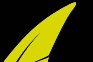 Un test que se viralizó en las redes propone responder qué figura se ve a primera vista: la respuesta revelaría aspectos de las personalidad.
