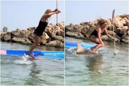 Un tiburón atacó a una surfista y causó estupor en las redes sociales