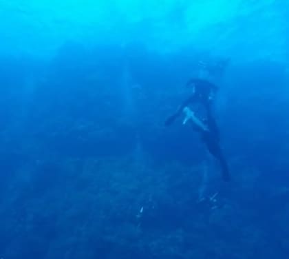 Un tiburón de punta blanca casi le arrancó la pierna a uno de sus compañeros de excursión