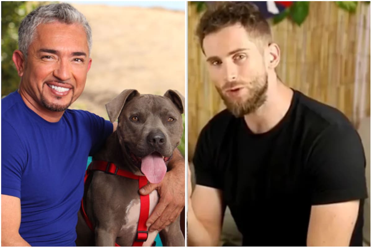Un tiktoker desafió la palabra de César Millan y recibió cientos de críticas