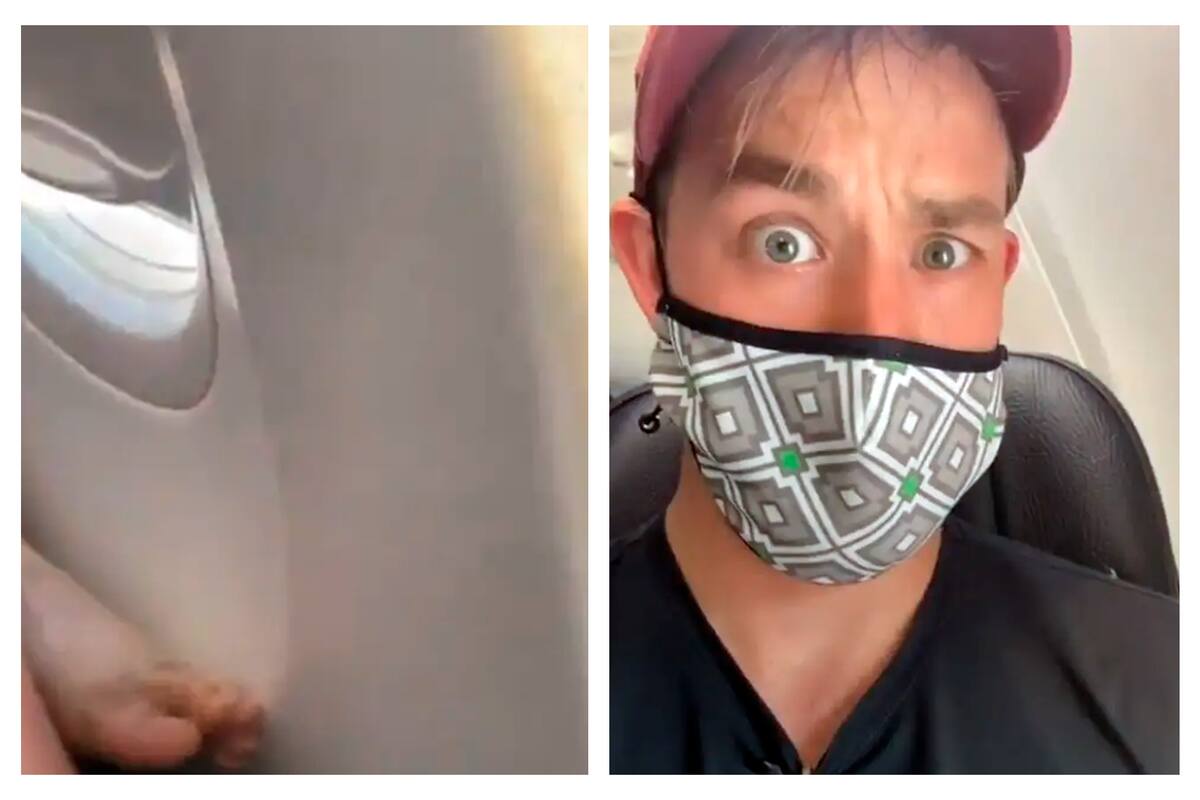 Un tiktoker mostró cómo se deshizo del “intruso” y recibió cientos de comentarios elogiosos