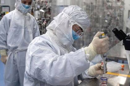 Un tipo de glóbulos blancos podrían ser cruciales en nuestra lucha contra covid-19.