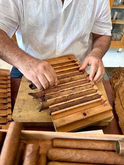 Un torcedor muestra paso a paso el proceso de elaboración de los famosos habanos cubanos