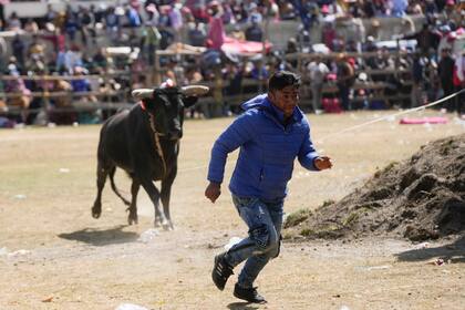 Un torero aficionado huye del toro durante la fiesta de Nuestra Señora del Rosario en el pueblo andino de Huarina, Bolivia, el lunes 3 de octubre de 2022. (Foto AP/Juan Karita)