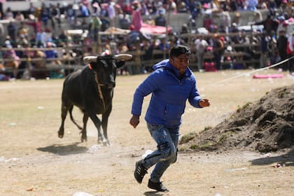 Un torero aficionado huye del toro durante la fiesta de Nuestra Señora del Rosario en el pueblo andino de Huarina, Bolivia, el lunes 3 de octubre de 2022. (Foto AP/Juan Karita)