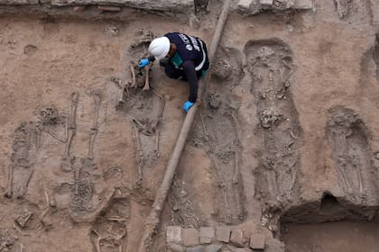 Un trabajador de la ciudad limpia los huesos encontrados en los cimientos del edificio que albergaba el antiguo Hospital Real de San Andrés en el centro de Lima, Perú, el viernes 27 de mayo de 2022. (AP Foto/Martín Mejía)