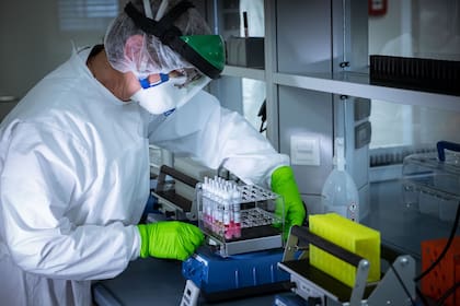 Un trabajador de un laboratorio prepara muestras para su análisis durante la crisis de coronavirus, en Madrid