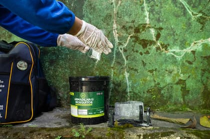Un trabajador del departamento de salud de Belém reemplazó el larvicida dentro de una unidad de diseminación en una casa cuyo patio trasero colinda con la selva amazónica