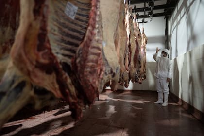 Un trabajador del Frigorífico General Pico observando las medias reses vacunas en una de las cámaras frías de la planta frigorífica, en la localidad de Trenel, en la provincia de La Pampa, Argentina