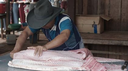 Un trabajador limpia y corta trozos de paiche para su venta en el mercado de Riberalta