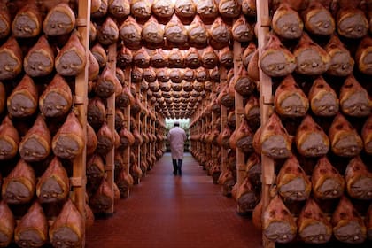 Jamones en la zona de Parma