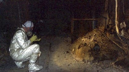 Un trabajador sacándole la foto a la "Pata de Elefante"
