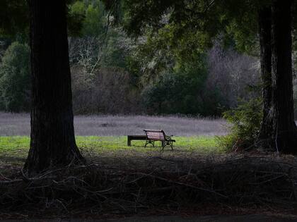 Un tranquilo lugar de descanso en San Gerónimo Commons.