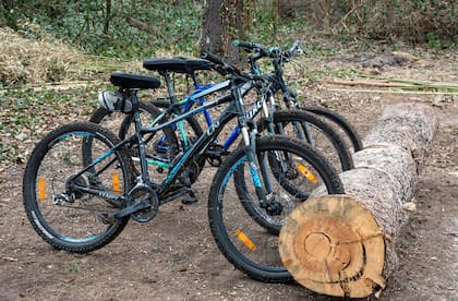 Un tronco convertido en bicicletero