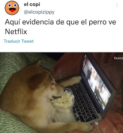 Un tuitero bromeó sobre la medida con la imagen de un perro