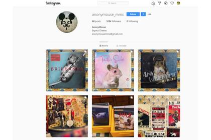 Un universo solo apto para roedores