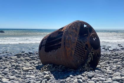 Un usuario de Reddit halló un objeto extraño en la costa de California; su origen fue un misterio que explicó un especialista