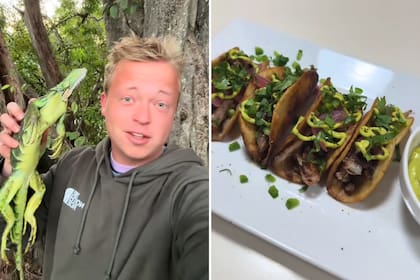 Un usuario de TikTok mostró qué hizo con las iguanas que encontró caídas por el frío