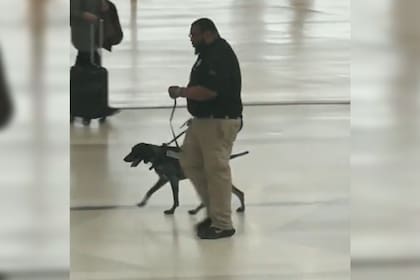 Un usuario del aeropuerto grabó al hombre mientras tiraba agresivamente del perro y lo compartió en redes sociales