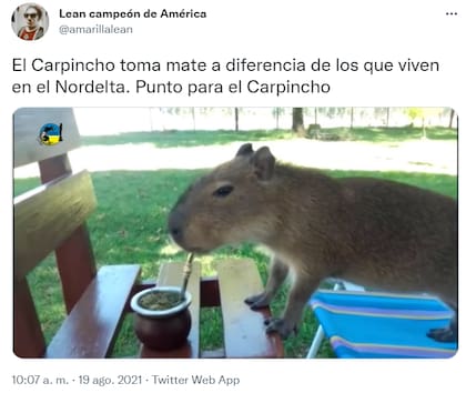Un usuario recordó el audio de "la cheta de Nordelta", donde una vecina se quejaba de la gente que toma mate. Fuente: Twitter.