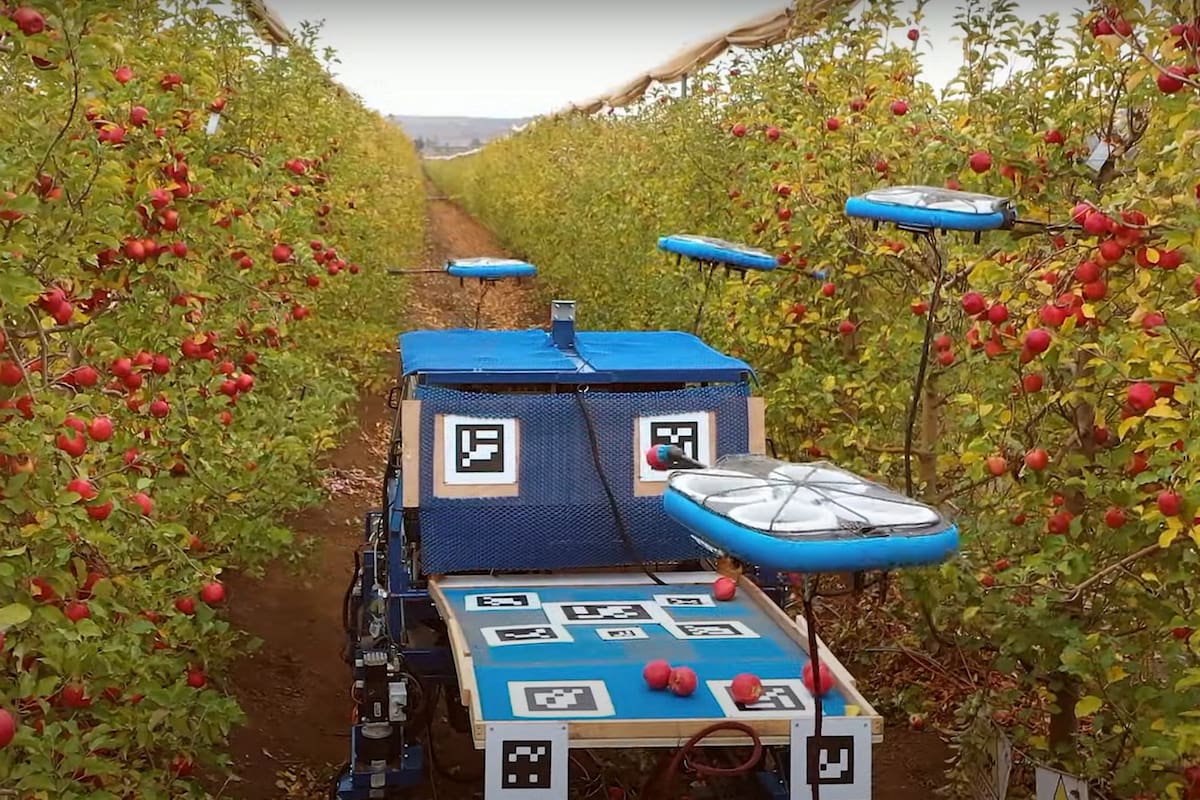 Un vehículo autónomo y cuatro drones equipados con brazos robóticos, el sistema propuesto por una firma israelí para resolver el problema de la escasez de mano de obra en las cosechas de frutas