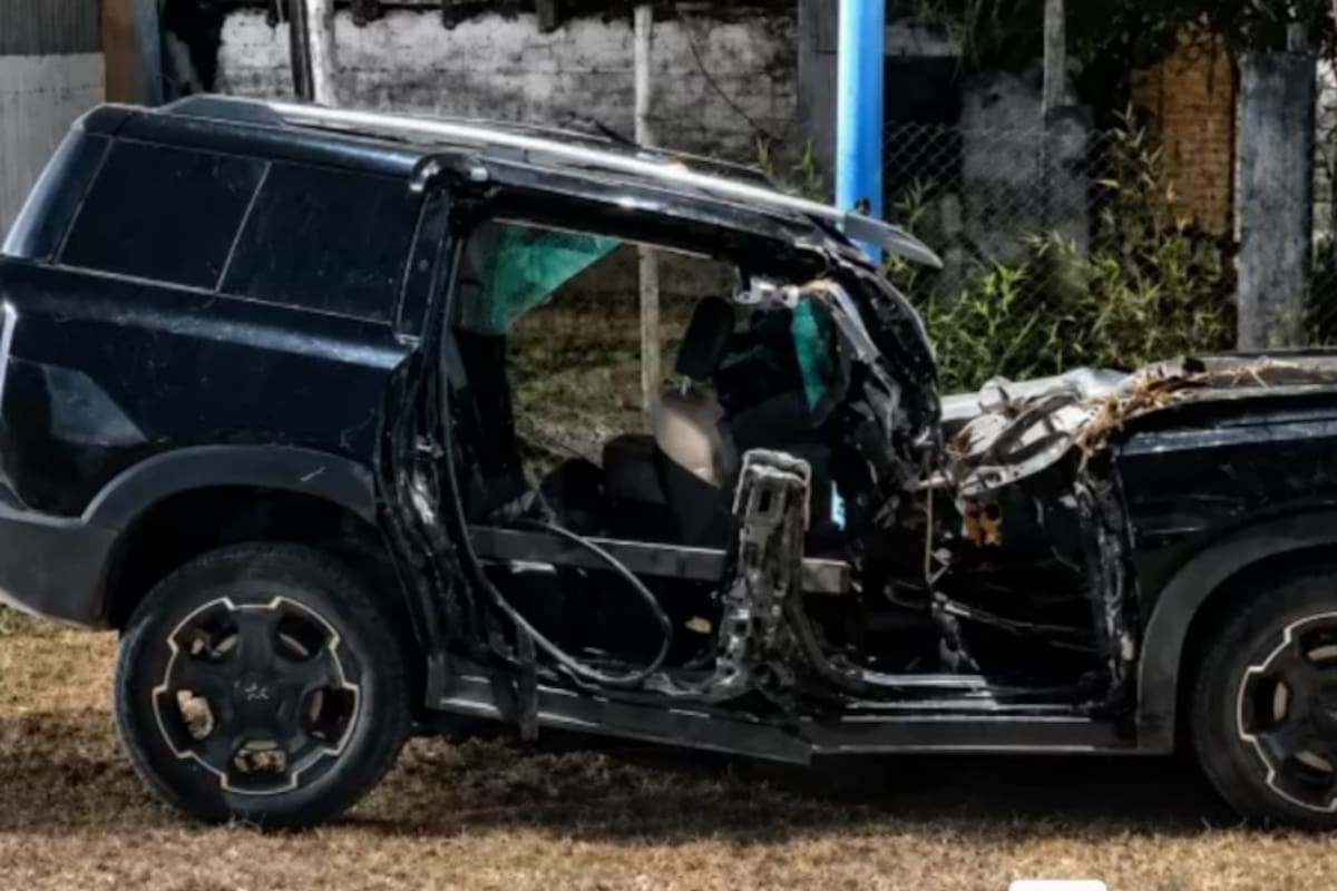Un vehículo destrozado por la caída de un árbol público en Mendoza