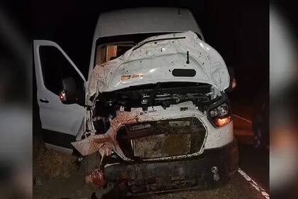 Un vehículo impactó contra un equino en las cercanías de San Ignacio, en la Ruta 40
