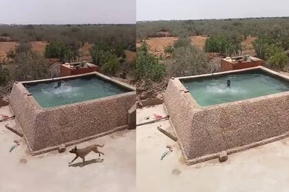 Un video causó una gran indignación en las redes (Captura video)