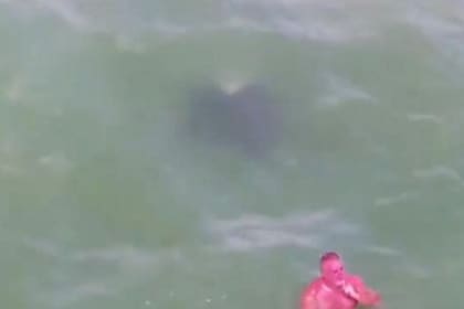 Un video de unas rayas gigantes nadando en Florida cerca de turistas se volvió viral por la imagen de un hombre extramadamente quemado